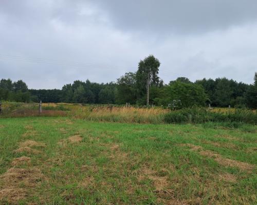 Opole Lubelskie - 1,24 ha - malownicza okolica