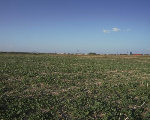 Działka budowlana/inwestycyjna, Lublin, 0,82 ha