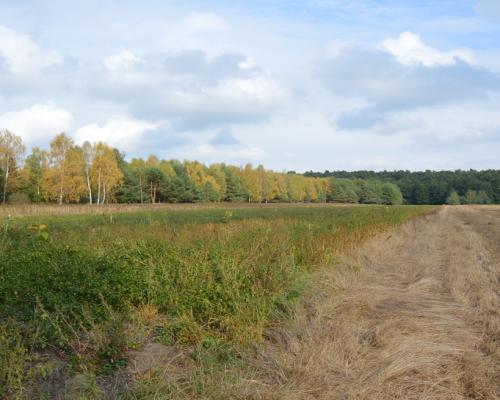 Działka, Klarów, 1,09 ha