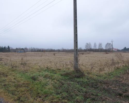 Kilka działek budowalnych + działka rolna Nowodwór