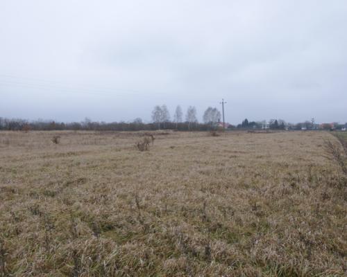 Kilka działek budowalnych + działka rolna Nowodwór