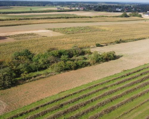 Działka, Motycz, 8.5ar, budownictwo jednorodzinne