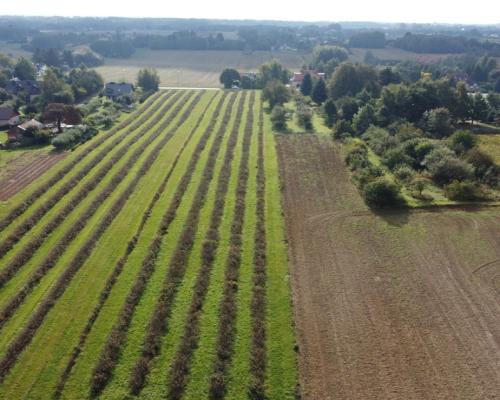 Działka, Motycz, 8.5ar, budownictwo jednorodzinne