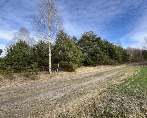 Działka o  pow. 1,63 ha w Karolowie gm. Chotcza.