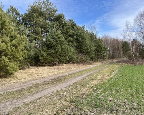 Działka o  pow. 1,63 ha w Karolowie gm. Chotcza.