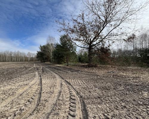 Działka o  pow. 1,63 ha w Karolowie gm. Chotcza.