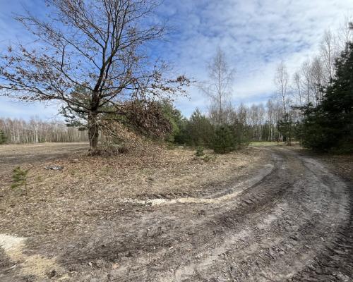 Działka o  pow. 1,63 ha w Karolowie gm. Chotcza.