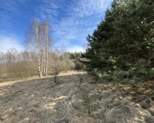 Działka o pow. 2,08 ha w m. Kawęczyn gm. Ciepielów