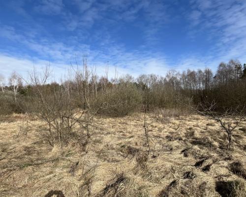 Działka o pow. 2,08 ha w m. Kawęczyn gm. Ciepielów