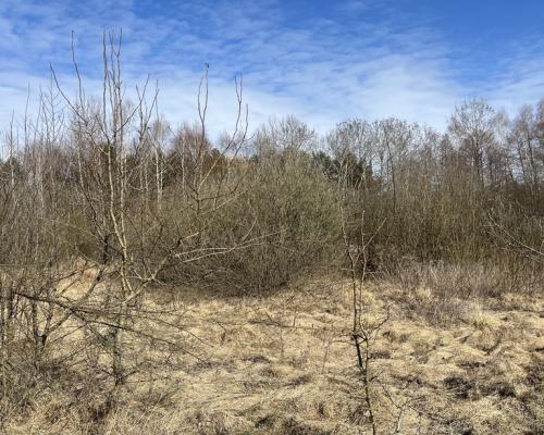 Działka o pow. 2,08 ha w m. Kawęczyn gm. Ciepielów