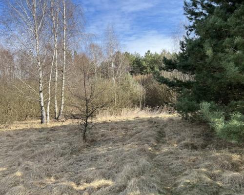 Działka o pow. 2,08 ha w m. Kawęczyn gm. Ciepielów