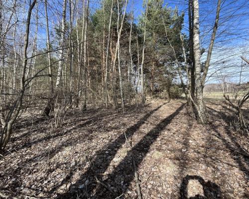 Działka o pow. 2,08 ha w m. Kawęczyn gm. Ciepielów