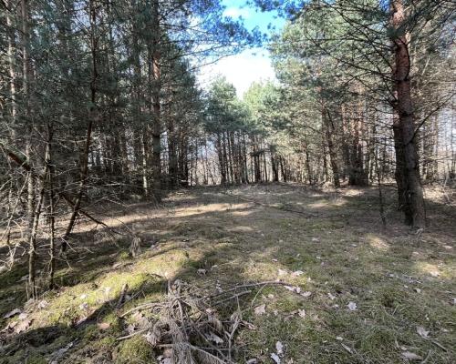 Działka o pow. 2,08 ha w m. Kawęczyn gm. Ciepielów