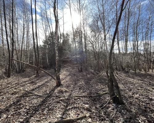 Działka o pow. 2,08 ha w m. Kawęczyn gm. Ciepielów