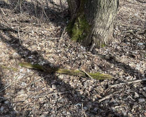 Działka o pow. 2,08 ha w m. Kawęczyn gm. Ciepielów