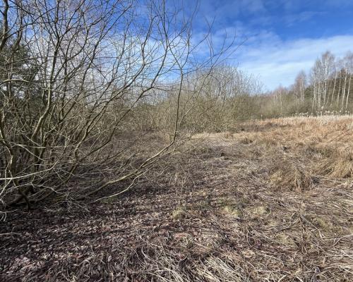 Działka o pow. 2,08 ha w m. Kawęczyn gm. Ciepielów