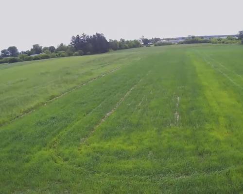 Działka rolno-budowalana Brzostówka g. Serniki 50a