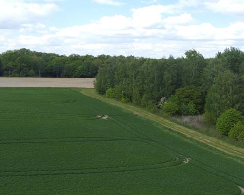 Działka 2,15 ha z potencjałem koło Nałęczowa.