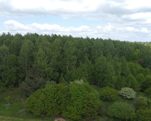 Działka 2,15 ha z potencjałem koło Nałęczowa.