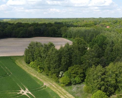 Działka 2,15 ha z potencjałem koło Nałęczowa.