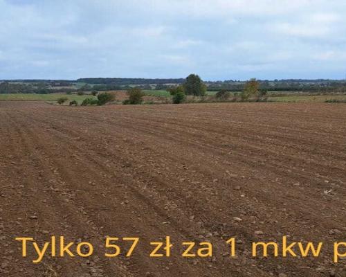 Działka  w bliskiej odległości od Lublina.