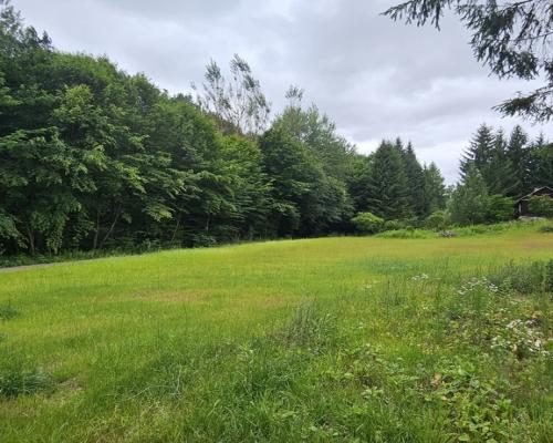 Działka Nałęczów, 14 ar, jednorodzinna, media