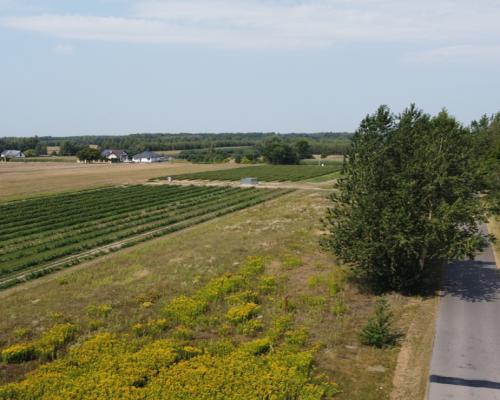 Działka 2940 m2 z WZ w Przyłęku pow. Zwoleń.