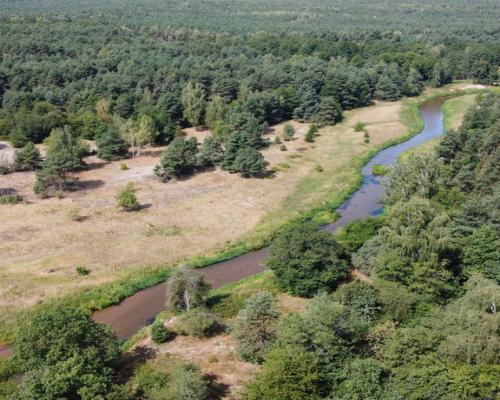 Działka letniskowa 800 m2 w Woli Chodkowskiej.