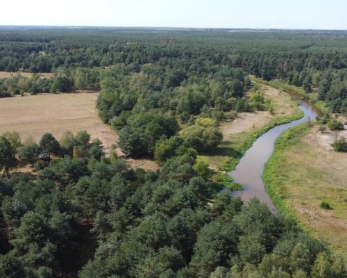 Działka letniskowa 800 m2 w Woli Chodkowskiej.