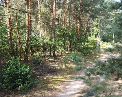 Działka letniskowa 800 m2 w Woli Chodkowskiej.