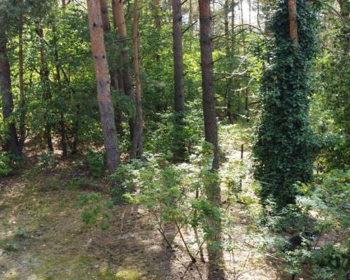 Działka letniskowa 800 m2 w Woli Chodkowskiej.