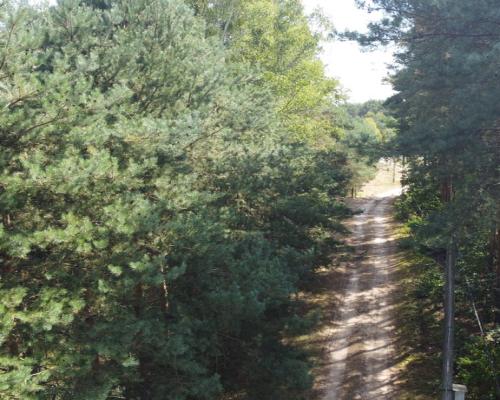 Działka letniskowa 800 m2 w Woli Chodkowskiej.