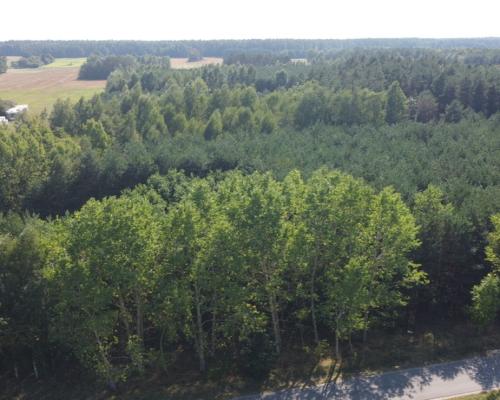 Dom na dużej działce w Świesielicach gm. Ciepielów