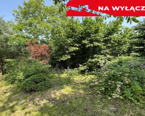 Działka 0,21 ha w Kaliszanach Kolonii gm. Józefów.