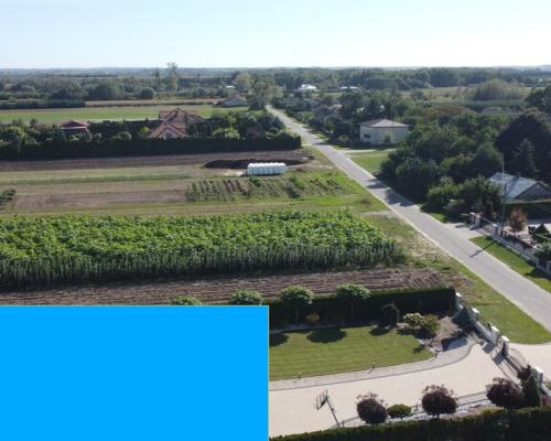 Działka budowlana 0.76 ha Sielce gm. Końskowola