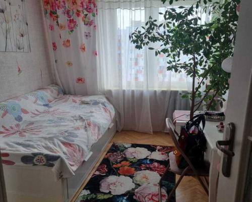 Mieszkanie usytuowane jest w centrum Świdnika. Posiada znakomity dostęp do terenów spacerowych oraz do licznych punktów handlow