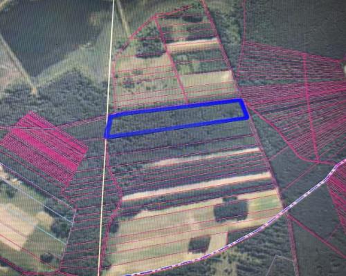Działka leśna 3,90 ha w Brodach  gm. Pierzchnica.