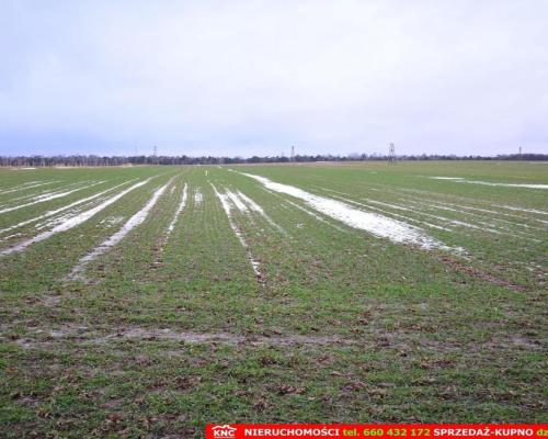 Wierciszów, działka budowlana MN, media.