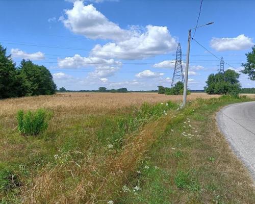 Działka 4 ha o różnym przeznaczeniu w Zwoleniu.
