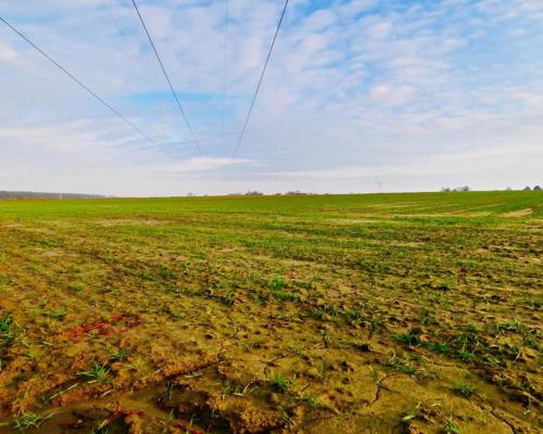 Działka rolno-budowlana - doskonała inwestycja!