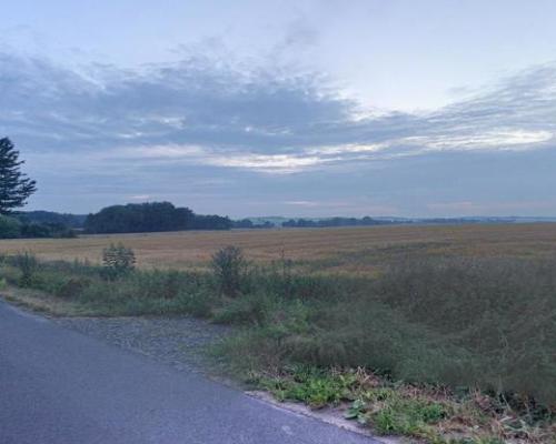Działka bud. położona w miejscowości Piotrkówek.