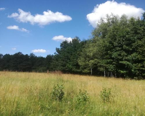 Kolonia Garbatówka, działka rolna, 3,18 ha!!