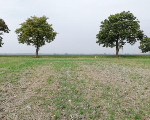 Działka inwestycyjna 4,5 ha bezpośrednio przy S12