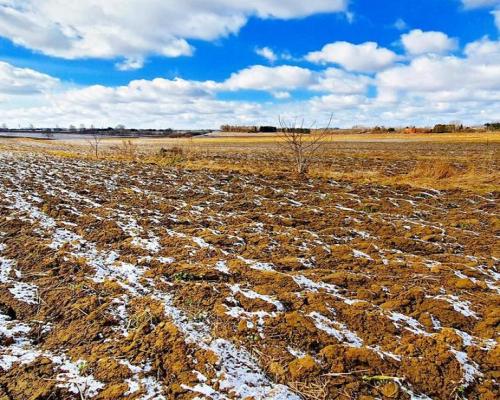 Działka budowlana Płouszowice Kolonia - 35ar