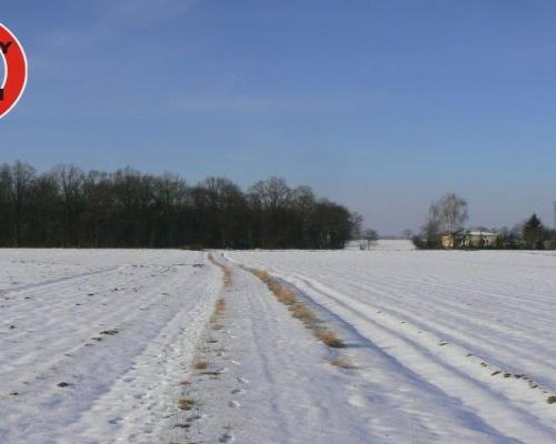 Krężnica Jara 8km od Lublina. 8000m2