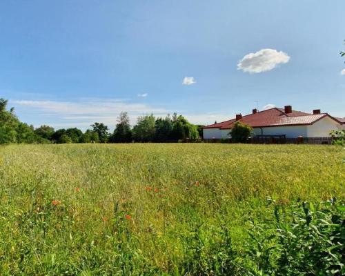 Dąbrowica, gm.Jastków. Plan zagospodarowania,media