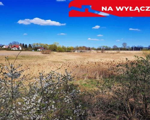Malowniczo położona działka bud. Miłocin 5000 mkw