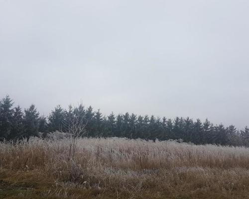 Sprzedam działkę mieszkaniowo-rzemieślniczą!