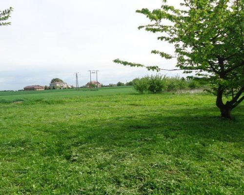 Pawlin gmina Konopnica około 12km od Lublina