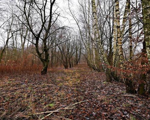 95 arów pod Kazimierzem Dolnym